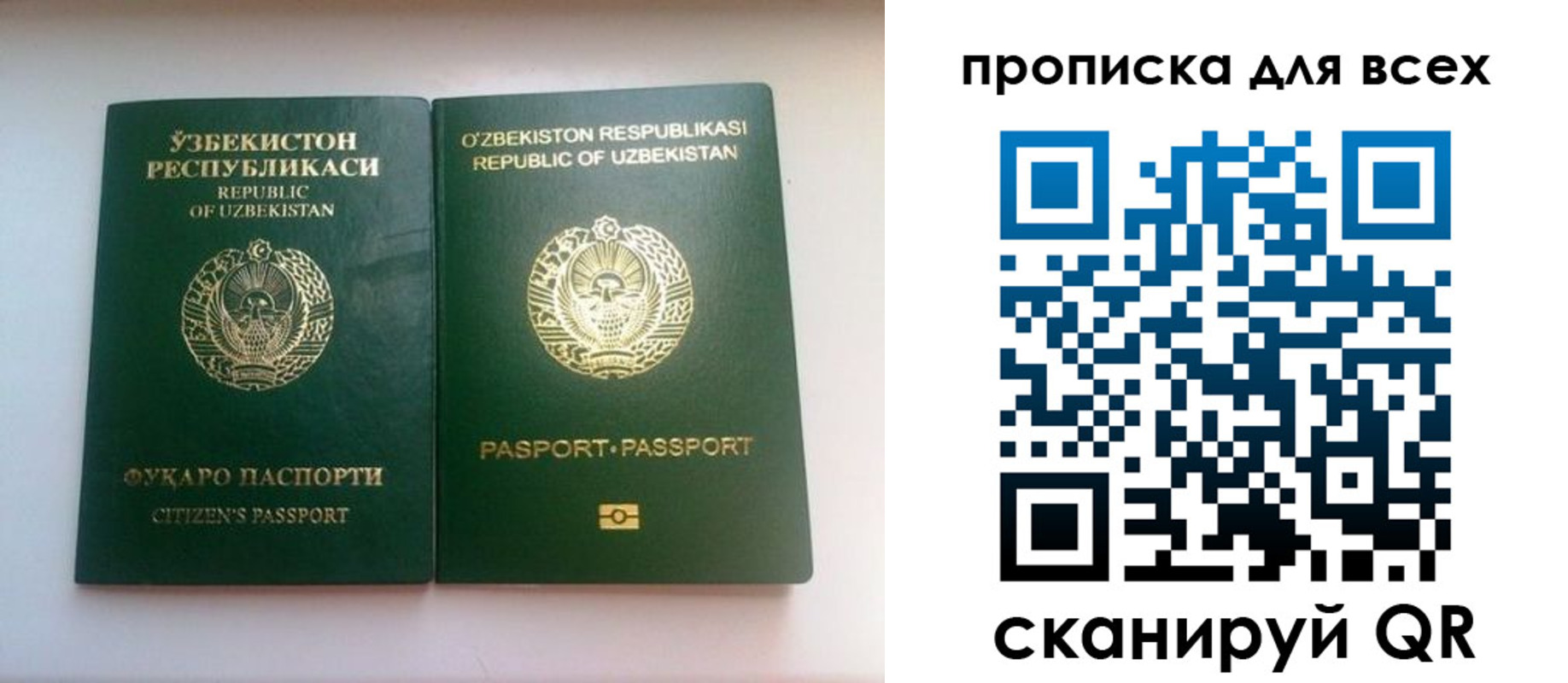 прописка для школы в Новом Осколе